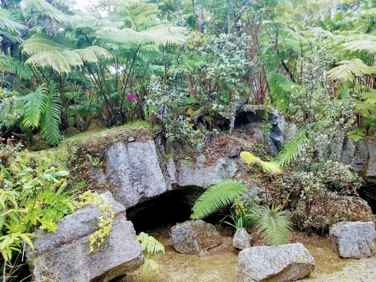 'Ama'U Lani Cottage Volcano Kültér fotó