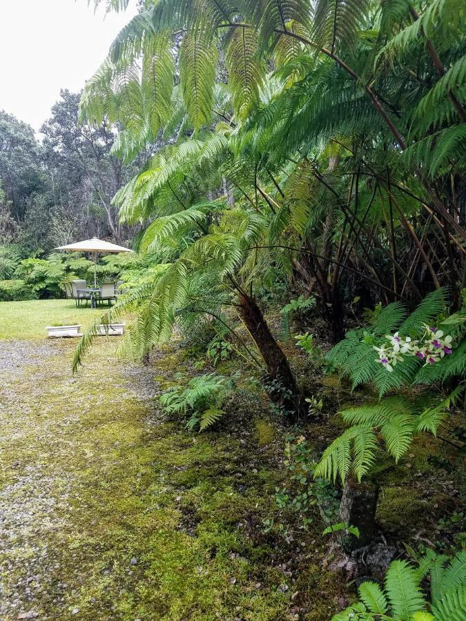 'Ama'U Lani Cottage Volcano Kültér fotó